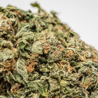 Bruce-Banner-Marijuana-Strain-1.jpg