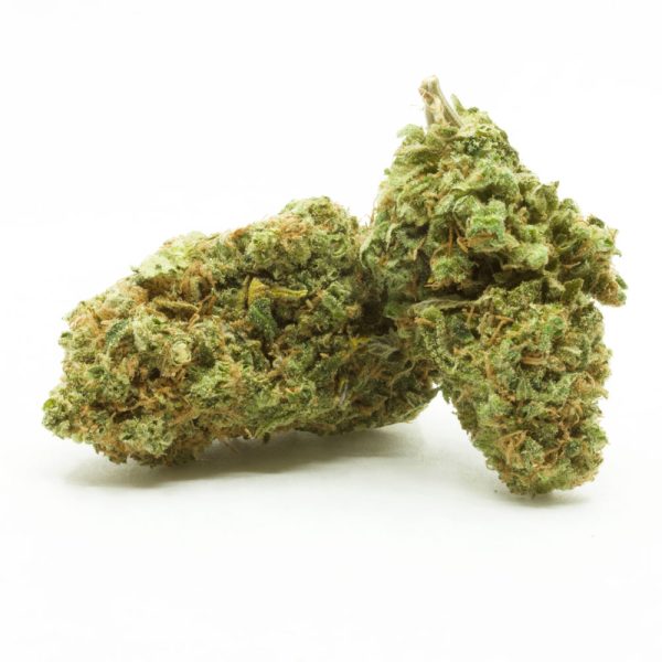Pink-Bubba.jpg