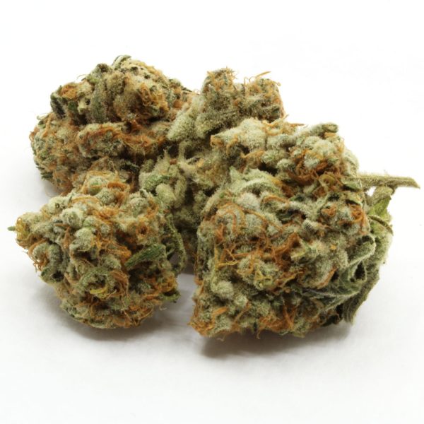 Slurricane-Flower.jpg