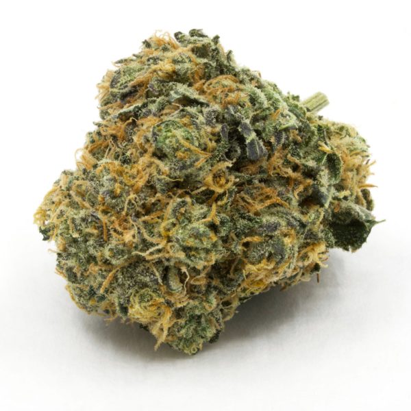 White-Fire-OG-wifi.jpg