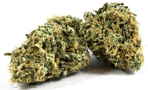 Zombie-Kush-600x367-1.jpg