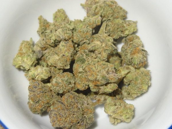 candyland-1-1.jpg